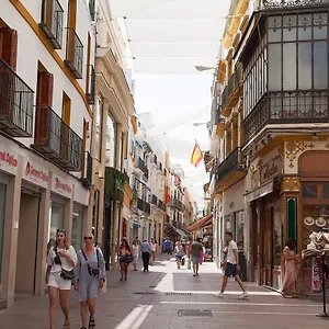 Gotoseville Sierpes Sevilla